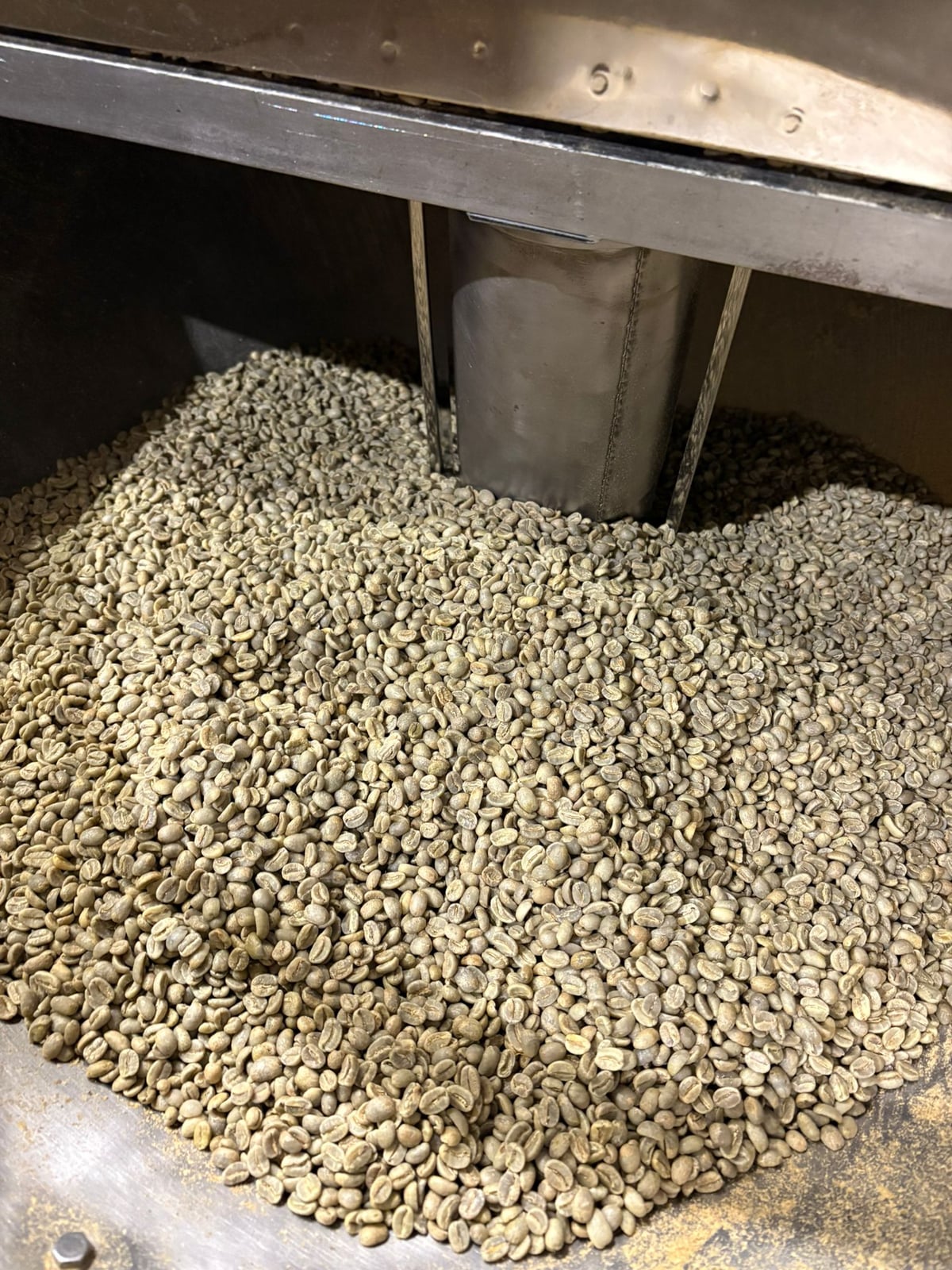 L'Art de la Torréfaction : Révéler les notes florales du Jimma