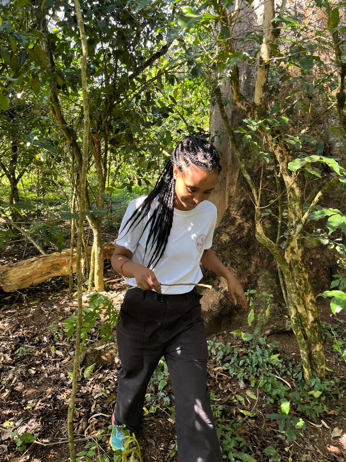 L'Éveil des Sens : Pourquoi le café éthiopien est unique au monde