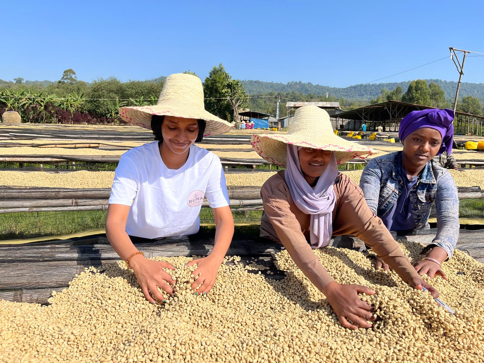 Immersion à Jimma : Rencontre avec les productrices de café de forêt