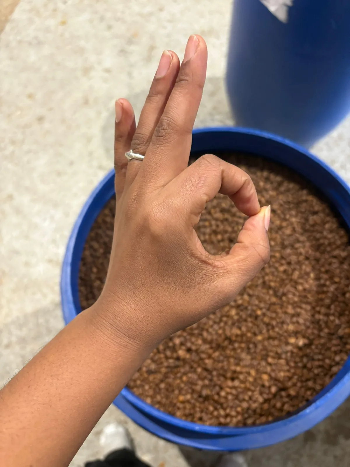 Préparation traditionnelle du café dans la jebena